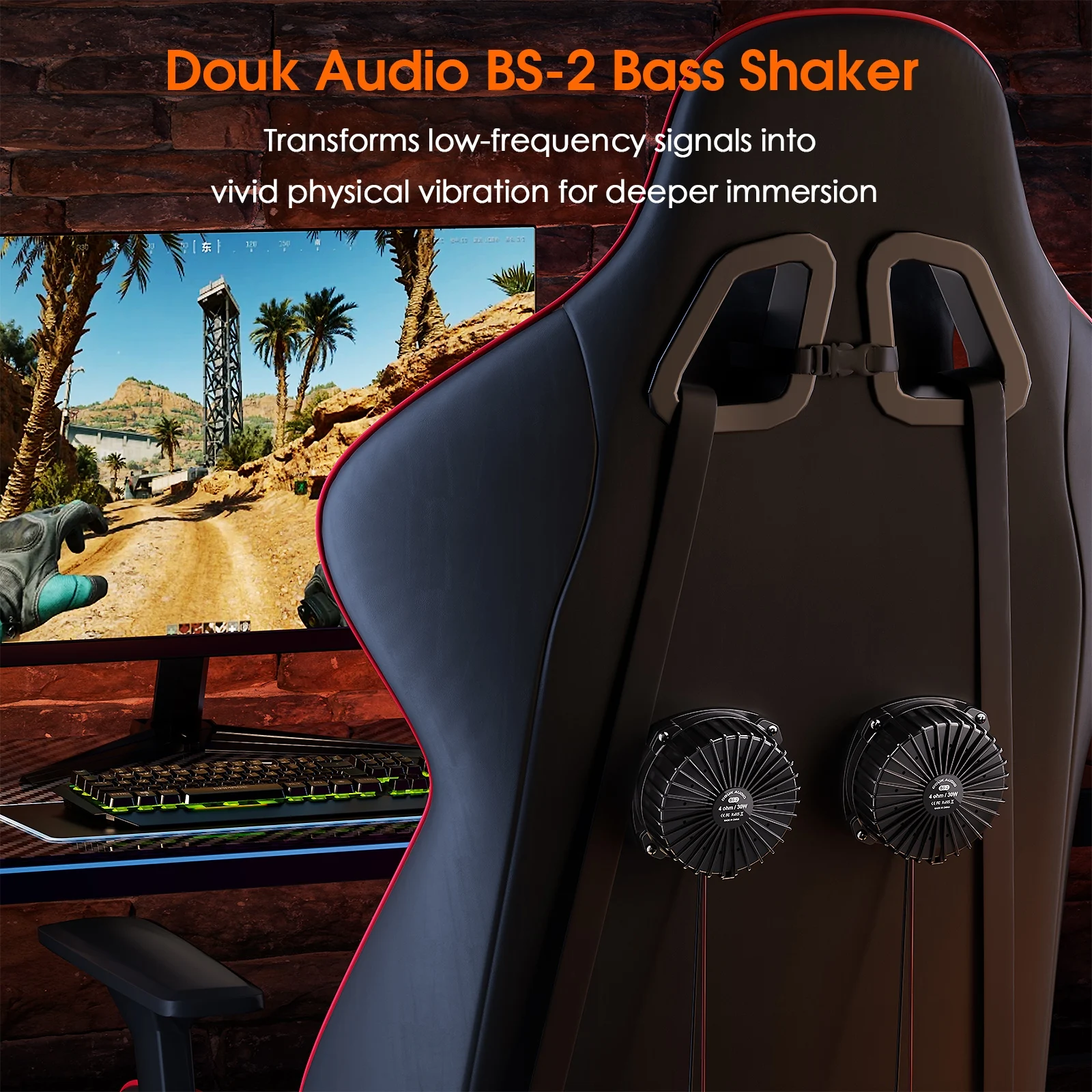 Douk Audio BS-2 30W 4Ω Bass Sh - Gaming Home Accessories avis et prix