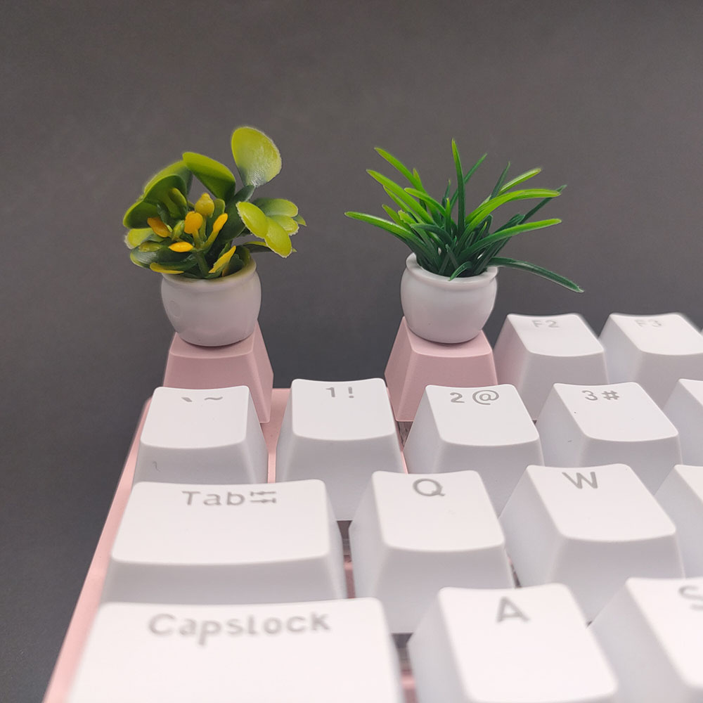 Capuchons de touches de clavie - Gaming Home Accessories avis et prix