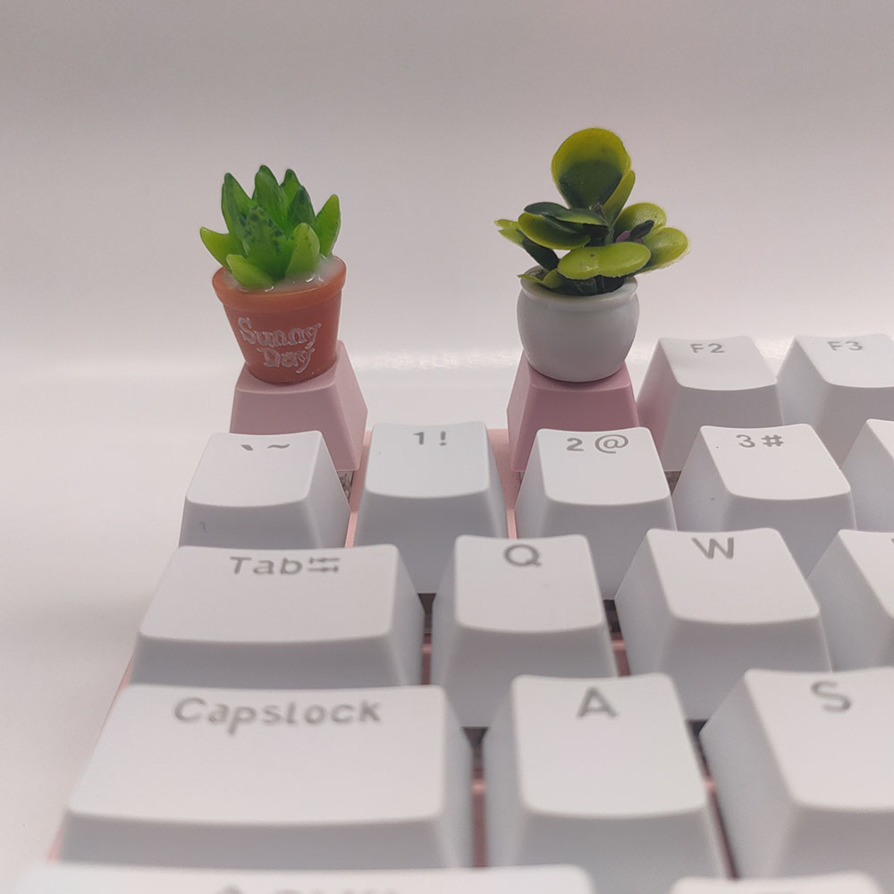 Capuchons de touches de clavie - Gaming Home Accessories avis et prix